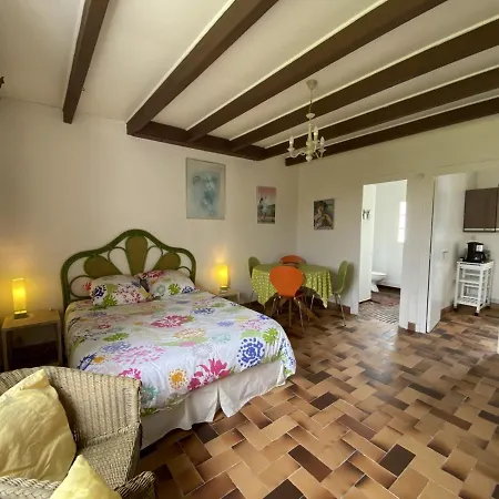 Appartement Saint-Palais-Sur-Mer, 1 Piece, 2 Personnes - Fr-1-539-24 *
