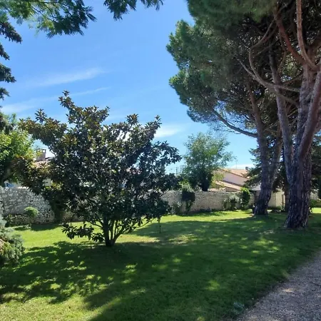 Lejlighed Appartement Saint-Palais-Sur-Mer, 1 Piece, 2 Personnes - Fr-1-539-24 *